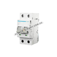 Hager NC263A 63A 2P 10KA TC MCB
