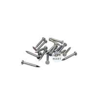 S Concrete Nails 2.03mm x 17.02mm (packed in Singapore) - 1 box equivalent 1 pound